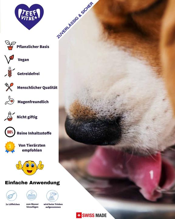 Actual product image Teef Vitae+ Dental care (Dog, Cat)