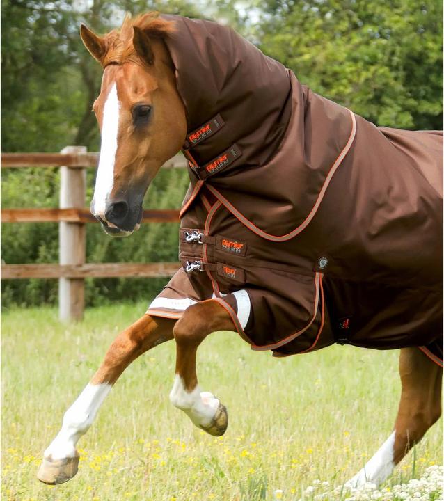 Immagine prodotto Premier Equine Titan 300 g (191 cm)