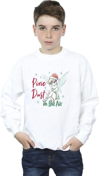 Actual product image Disney Boys Tinker Bell Pixie Dust Sweatshirt (140, 146)