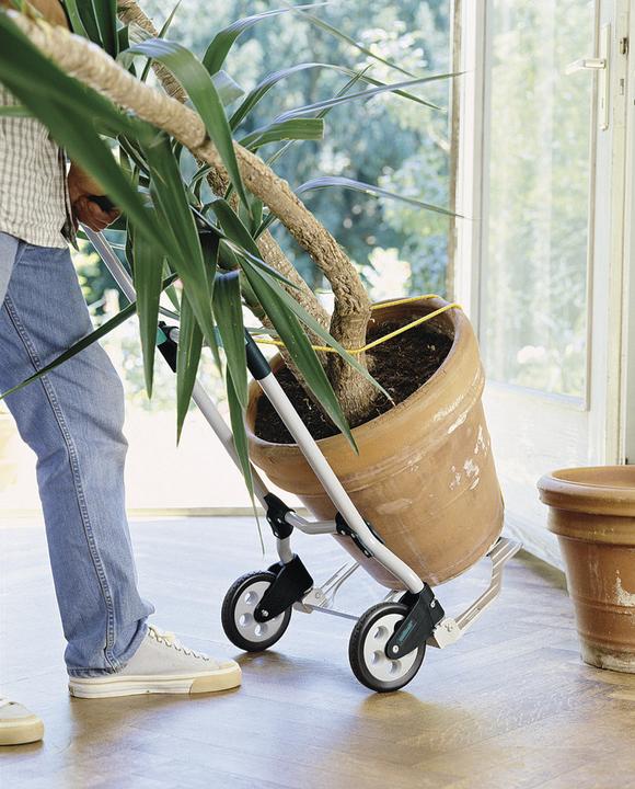Produktbild wolfcraft Transportsystem TS 600 (70 kg)