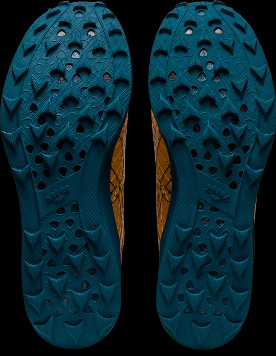 Image du produit ASICS Performance Fujispeed (44)