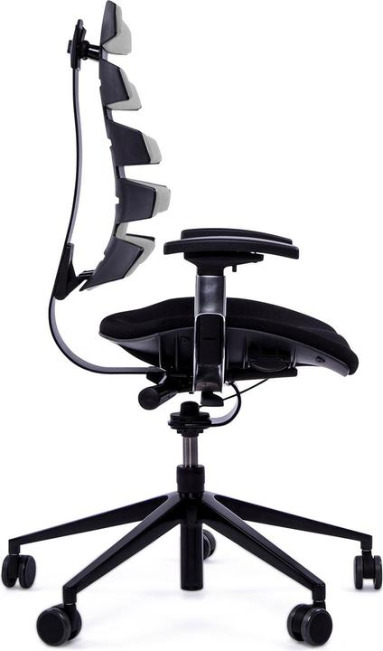 Produktbild Sitag SitagWAVE mit schwarzem Drehkreuz