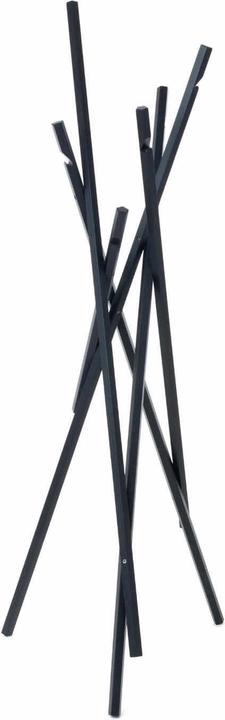 Black lacquered, Ash