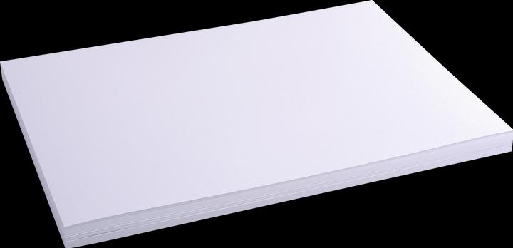Immagine prodotto Exacompta Schede di valutazione (A3, 205 g/m², 100 x)