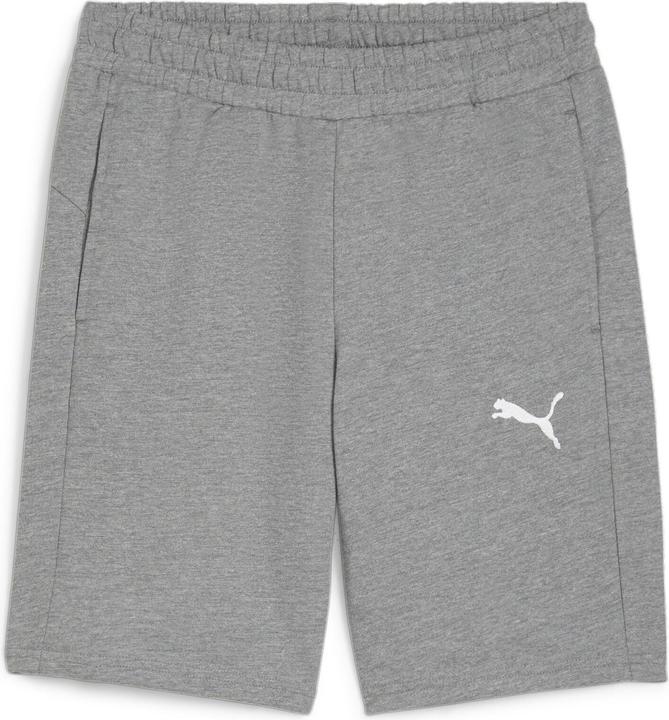 Actual product image Puma teamGOAL Casuals Shorts (3XL)