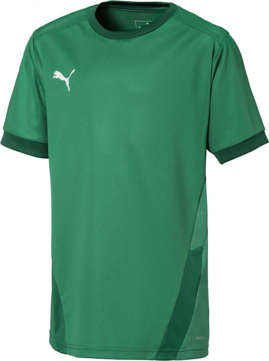 Image du produit Puma teamGOAL 23 Jersey jr-704160 (164)