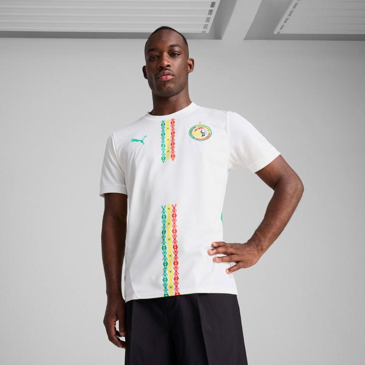 Image du produit Puma FSF Home Jersey Replica (XL)