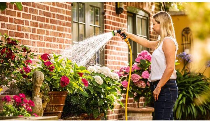 Actual product image Bosch Home & Garden GardenPump 18 (Garden pump)