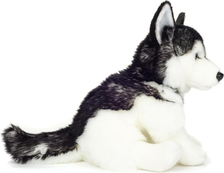Actual product image Teddy Hermann Husky sitting 30cm (12 cm)