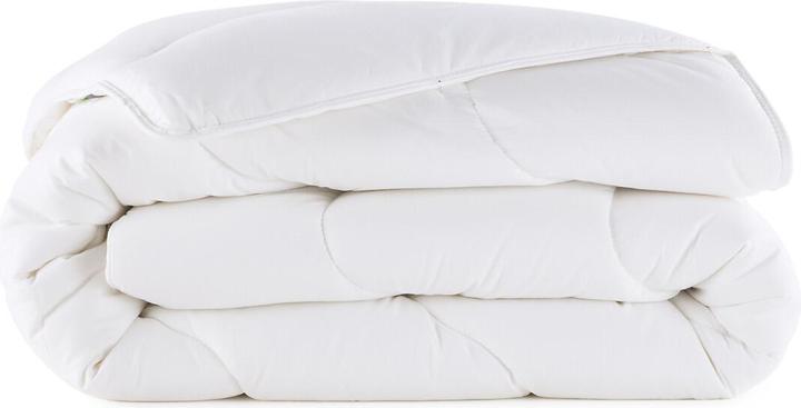 La Redoute Interieurs Lri Synthétique Polyester (300 g, 140 x 200 cm)