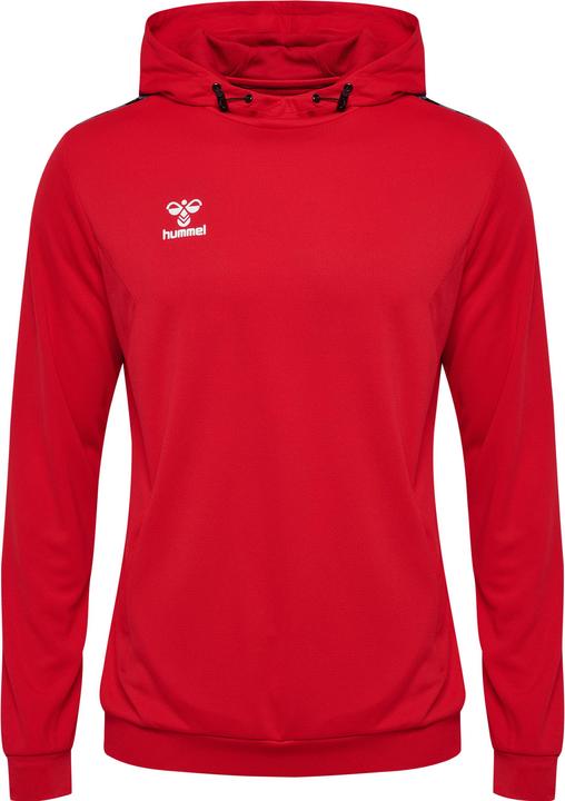 Actual product image hummel Hmlauthentic Pl Hoodie (XS)
