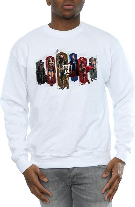 Produktbild Justice League Movie Team Hexagons Sweatshirt (L)