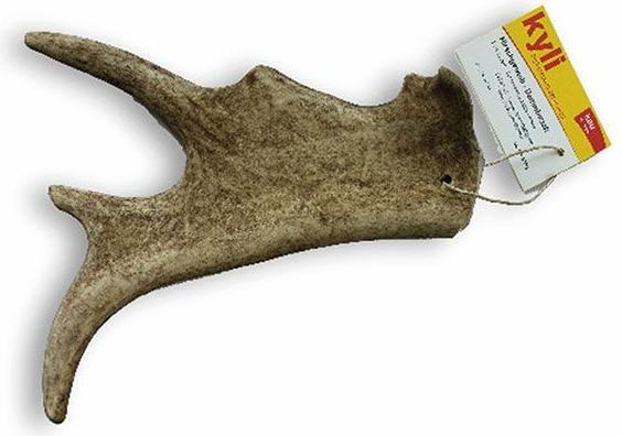Image du produit Kyli Bois de cerf Daim (Adulte, 1 pcs, 200 g)