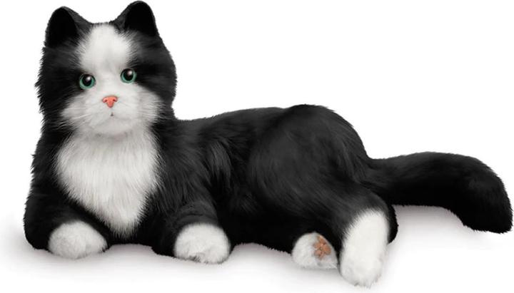 Actual product image Ally Clock Peluche Chat Interactive pour personne âgée - Noir