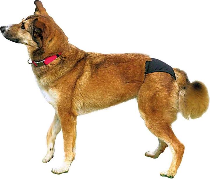 Actual product image Trixie Protective panties XL 60-70cm (XL, Dog overalls)
