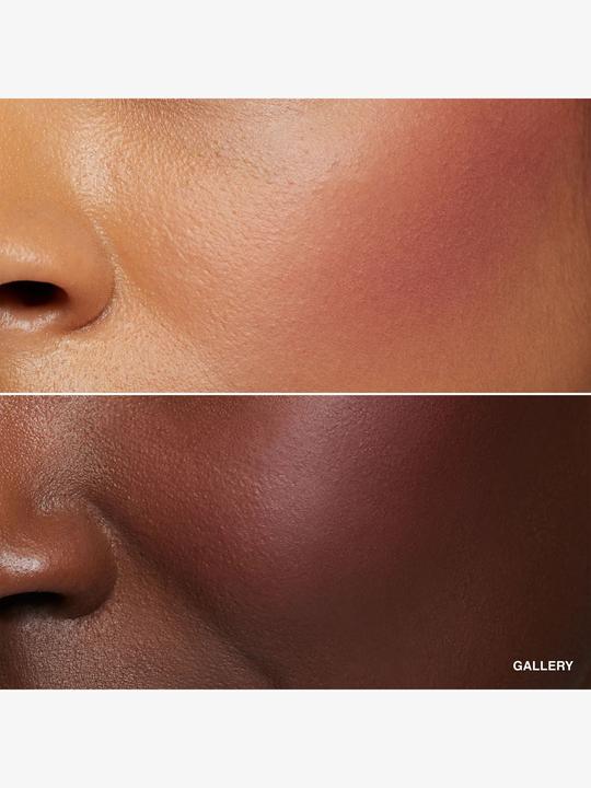 Image du produit Bobbi Brown Blush Shimmer Gallery (Tribune)