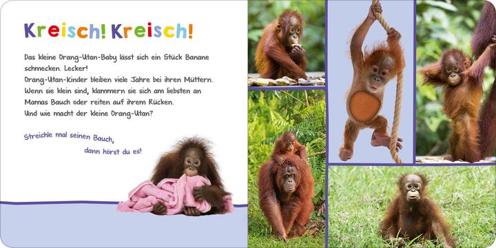 Immagine prodotto Hör mal rein, wer kann das sein? - Tierbabys (Tedesco)