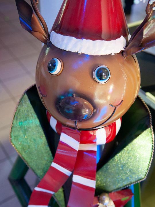 Actual product image Europalms Reindeer with coat, metal, 155cm, green