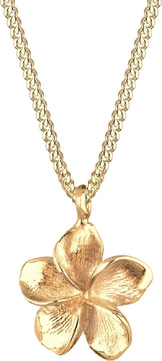 Elli Fleur de frangipanier (Argent sterling 925, 45 cm)