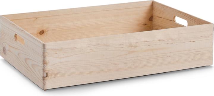 Zeller Present Allzweckkiste (60 x 40 x 15 cm, 36 l)