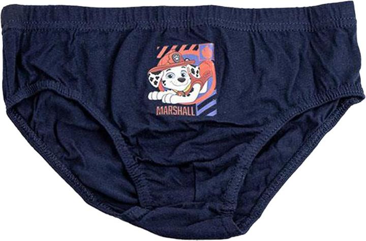 Actual product image Disney Girls' Underwear Set 3 Pieces Paw Patrol (128)