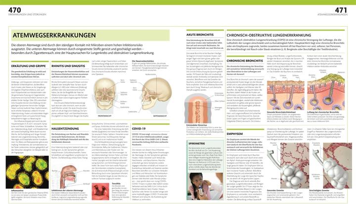Produktbild Anatomie und Physiologie (Deutsch, Andreas Held, DK Verlag, Simone Blass, Nikola Schmidt, Alice Roberts, 2023)