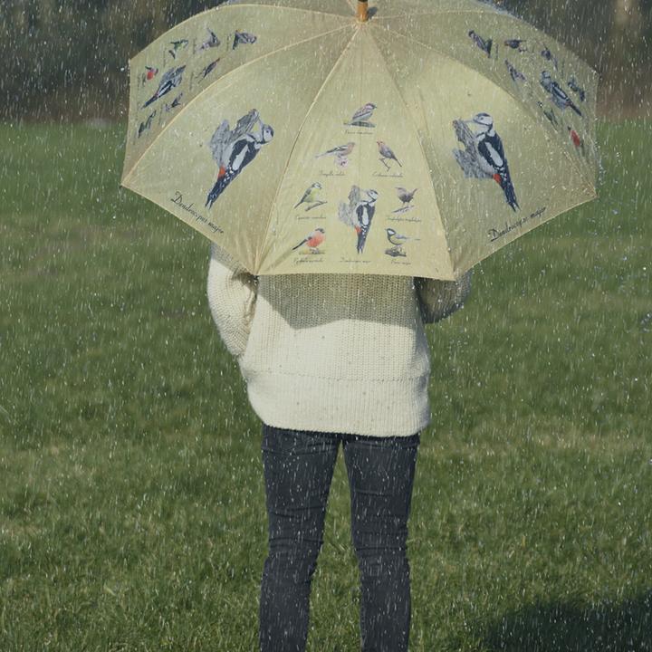 Produktbild Esschert Design Regenschirm Vögel