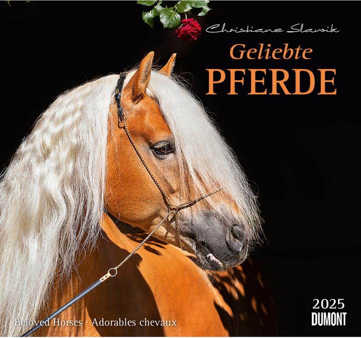 Produktbild Geliebte Pferde 2026 – DUMONT-Wandkalender – Pferdefotografie von Christiane Slawik Format – 38,0 x (Harter Einband, Englisch, Französisch, Deutsch)