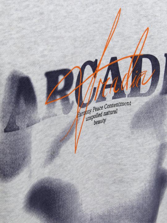 Produktbild Jack & Jones Jjecharge Graphic Sweat O-N Styd Aw24 Ln (XL)