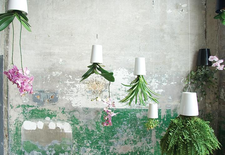 Actual product image boskke Sky Planter Ceramic Medium (20 cm)