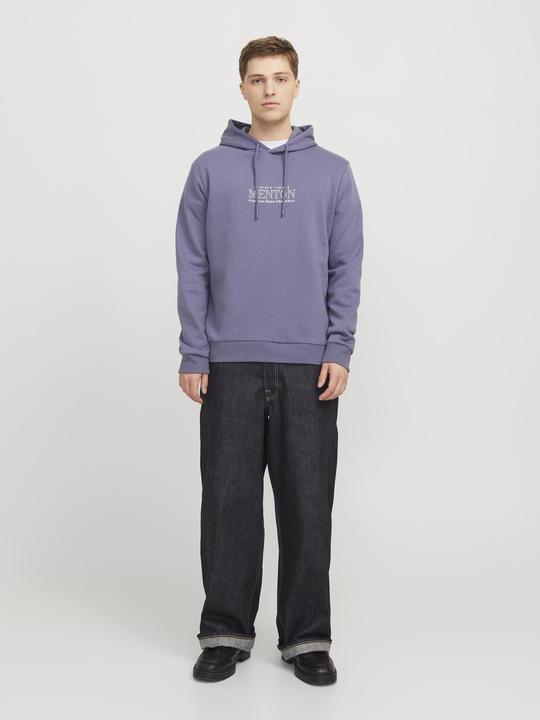 Image du produit Jack & Jones Rückenprint Kapuzenpullover Kapuzenpullover (XS)