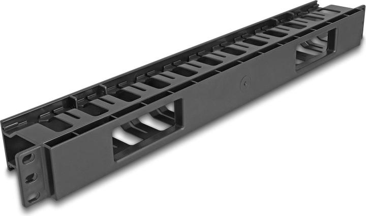Actual product image Delock 48.30cm (19"") cable management patch panel with 2 openings 1 U black