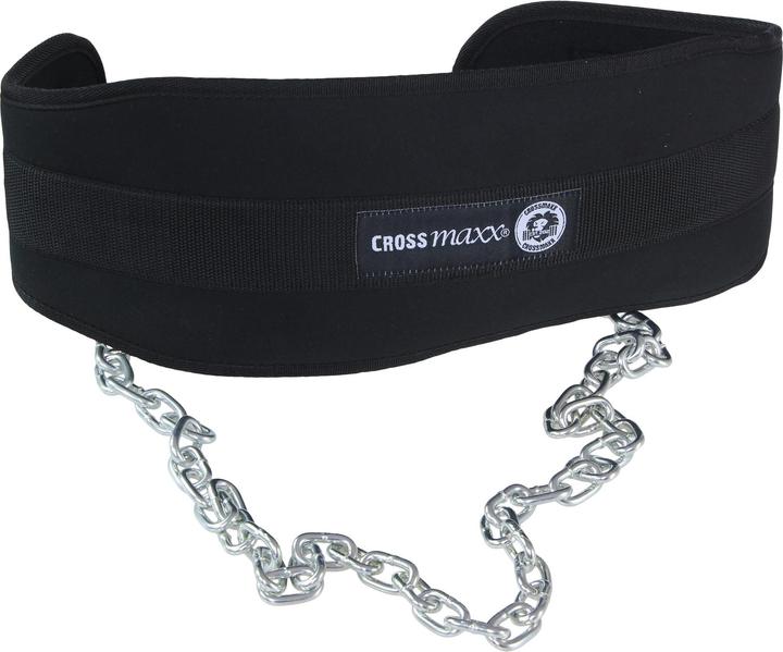 Lifemaxx Dip Belt