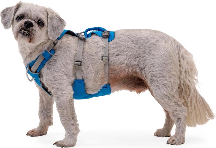 Actual product image Ruffwear Flagline dog harness (XS, Dog)