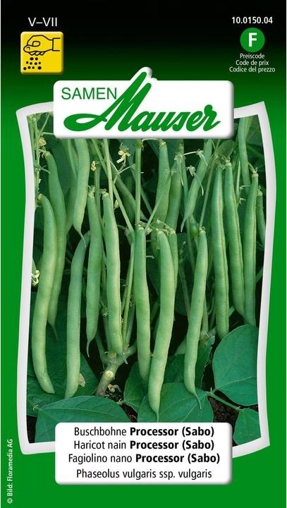 Actual product image Samen Mauser Bush Bean Processor Sabo (Vegetable seeds)