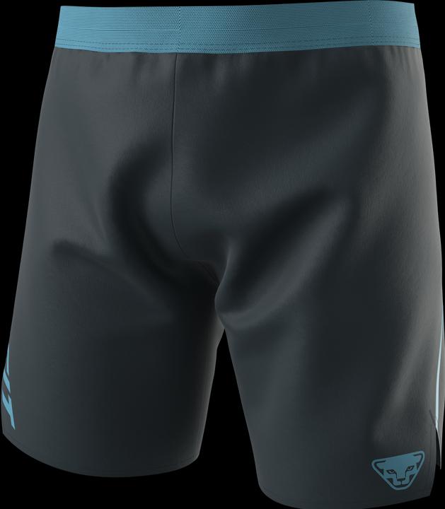 Actual product image Dynafit Alpine Shorts (XXL)