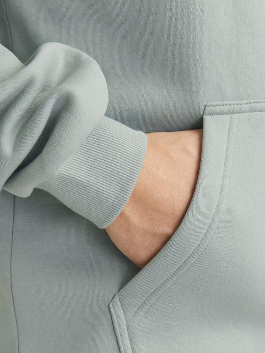 Immagine prodotto Jack & Jones Jjebradley Sweat Hood Noos (XXL)