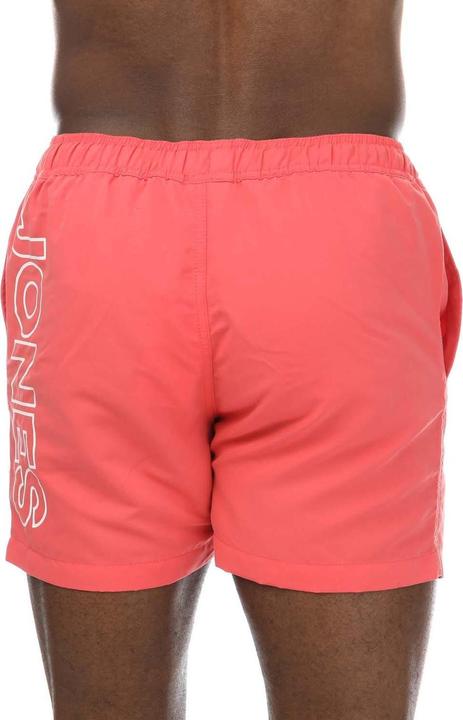 Produktbild Jack & Jones Aruba Kurze Hose (S)