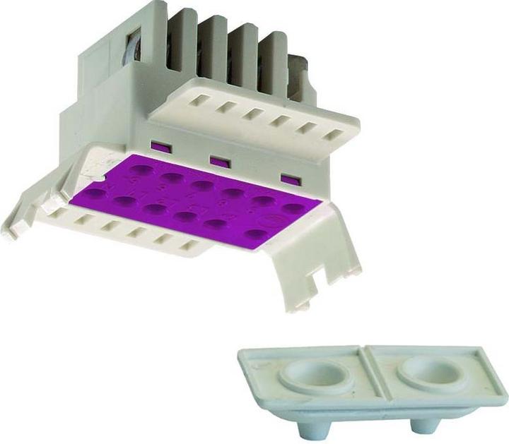 Actual product image Ridi Grid feed-in