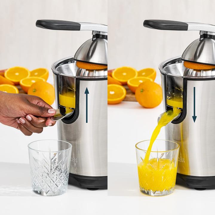 Actual product image Princess Master Juicer Pro