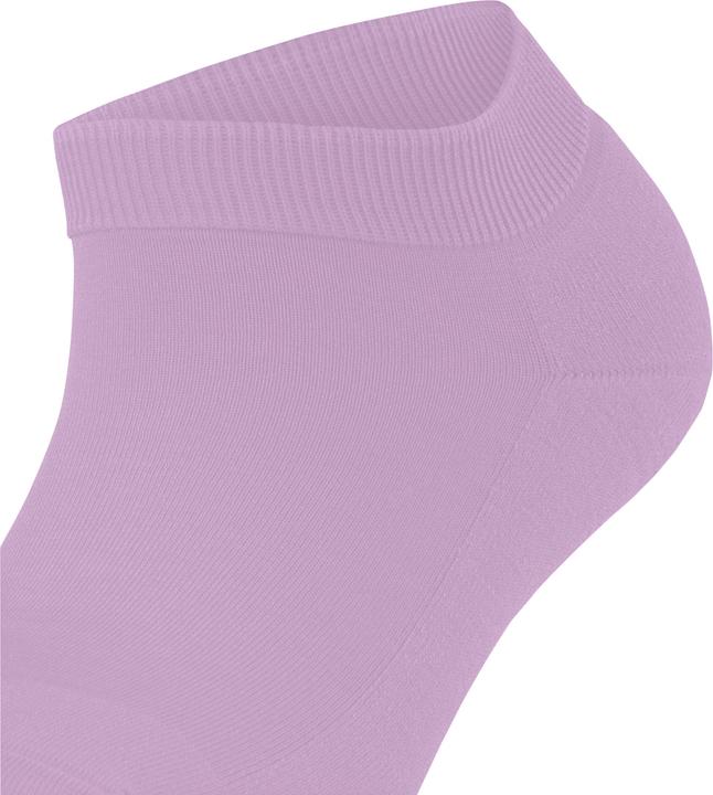 Image du produit Falke ClimaWool Femmes (39 - 40)
