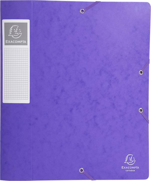 Actual product image Exacompta Archivboxen (A4)