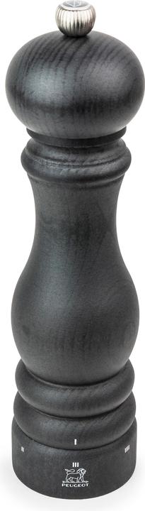 Actual product image Peugeot Paris U-Select (Salt)