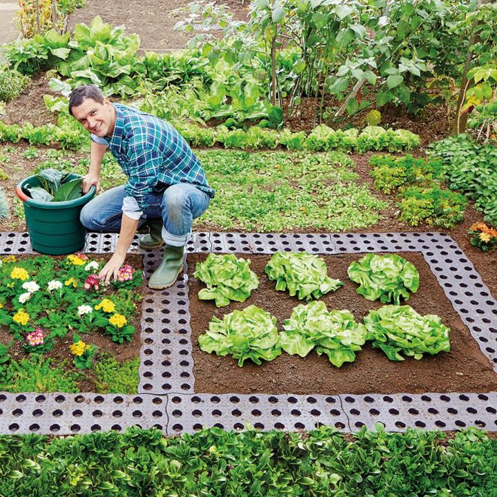 Produktbild Garantia Maxi-Beetplatte
