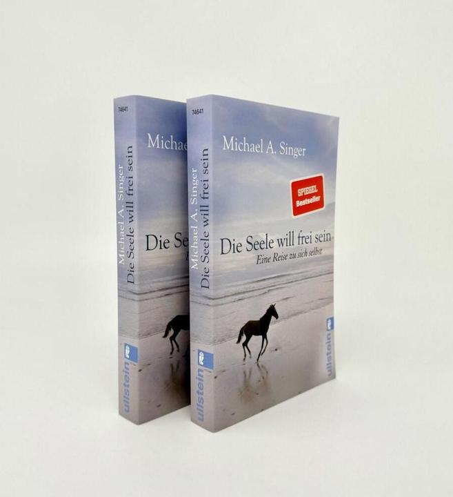 Produktbild Die Seele will frei sein (Deutsch, Michael A. Singer, 2016)