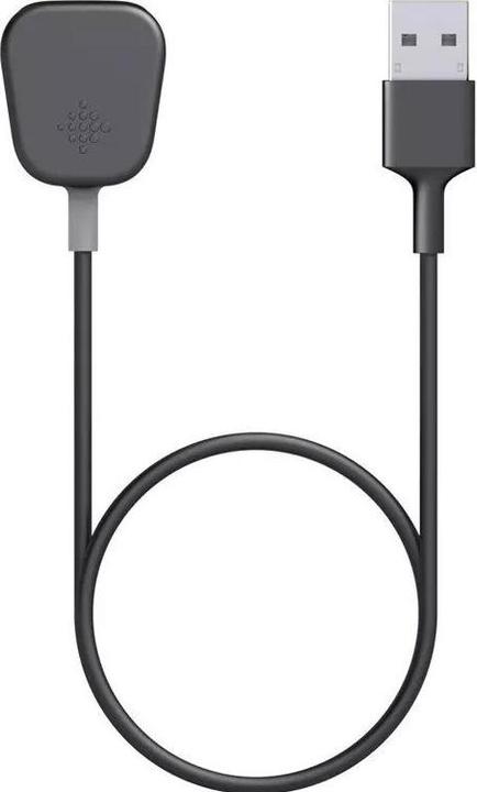 Image du produit Fitbit Câble de charge USB pour Charge 4