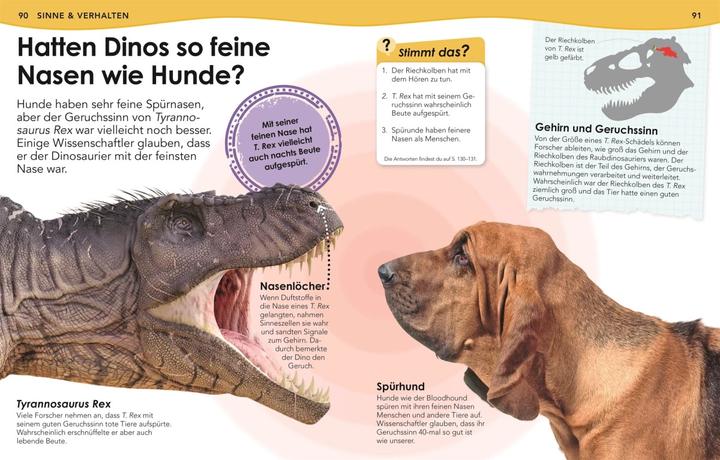 Image du produit Weshalb? Deshalb! Dinos (Allemand, Nicholas St Fleur, 2020)