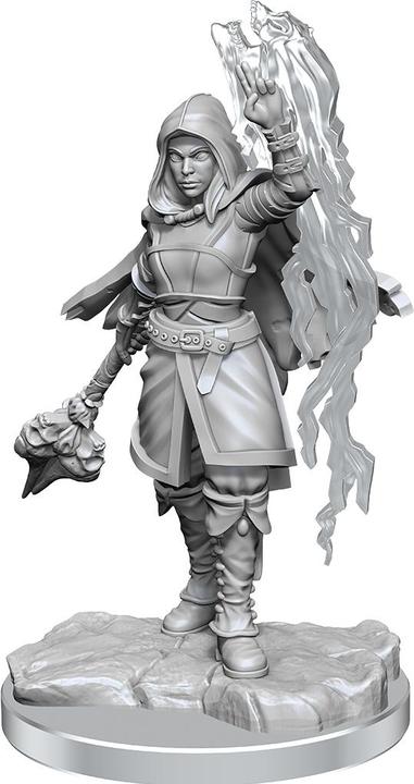 Wizkids D&D Nolzur's Marvelous Miniatures pack 2 miniature per stregone mezz'elfo