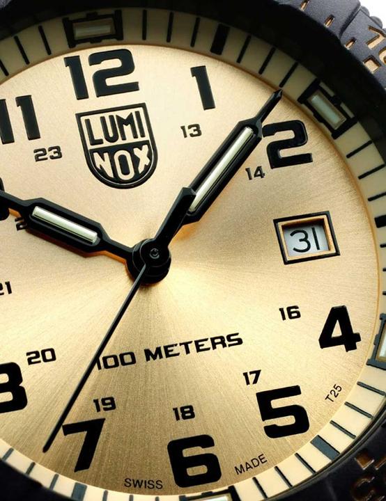 Immagine prodotto Luminox Turgone Dalla Schiena Di Pelle Serie Gian 0320 (Orologio sub, 44 mm)
