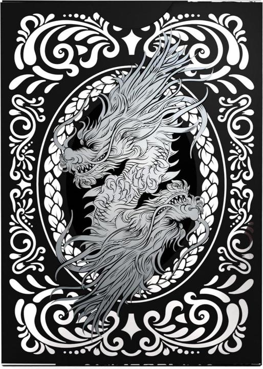 Actual product image AGM Bicycle® Black Dragon (English)